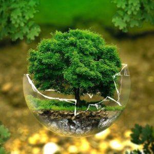 COP28: 12 medidas para aumentar la participación ciudadana en la lucha contra el cambio climático