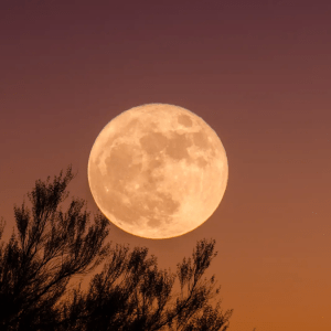 Una “superluna” iluminará el cielo esta semana y afectará el sueño de las personas, ¿de qué se trata?