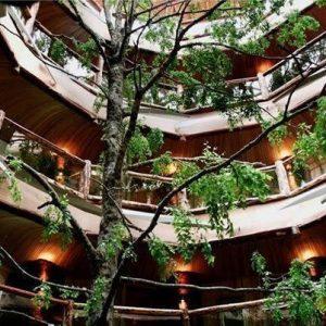 Turismo sustentable: los hoteles también se suman a la “ola verde” en Argentina