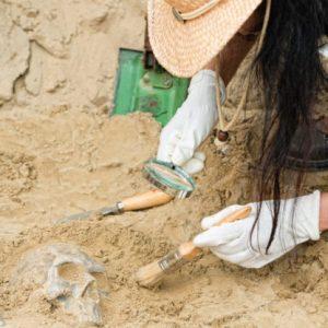 5 descubrimientos arqueológicos que cambiaron la historia de la humanidad