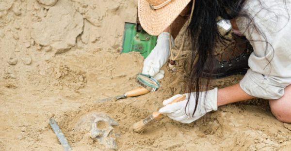 5 descubrimientos arqueológicos que cambiaron la historia de la humanidad