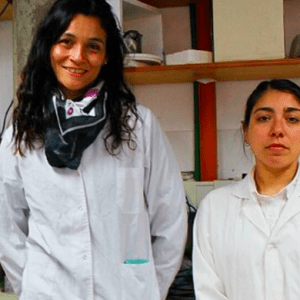 Científicas argentinas descubrieron un nuevo método para separar el glifosato del agua y los alimentos