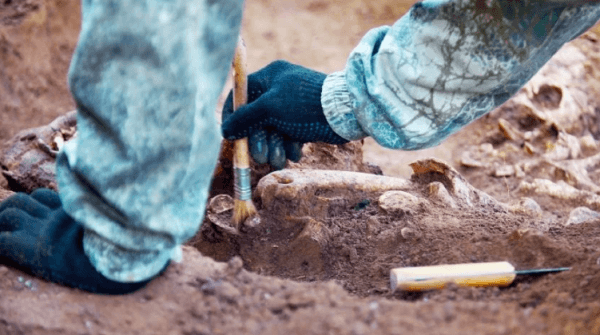 Lograron extraer ADN de un esqueleto humano de hace 6000 años en China