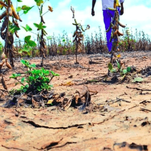 Una consultora reveló que el cambio climático superó a la tecnología entre los riesgos para las aseguradoras