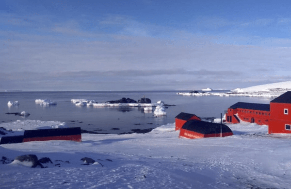 El hielo antártico alcanzó su mínimo histórico y preocupa el calentamiento global