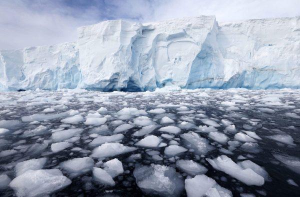 El hielo marino se derrite a una velocidad récord y la comunidad científica teme por el clima global