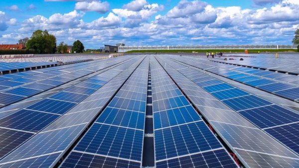 Paneles solares: cuánto plata hay invertir para ahorrar hasta el 100% de la factura de luz