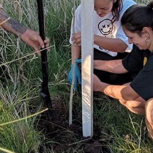 Estas son las ciudades con las principales iniciativas de reforestación urbana en todo el mundo