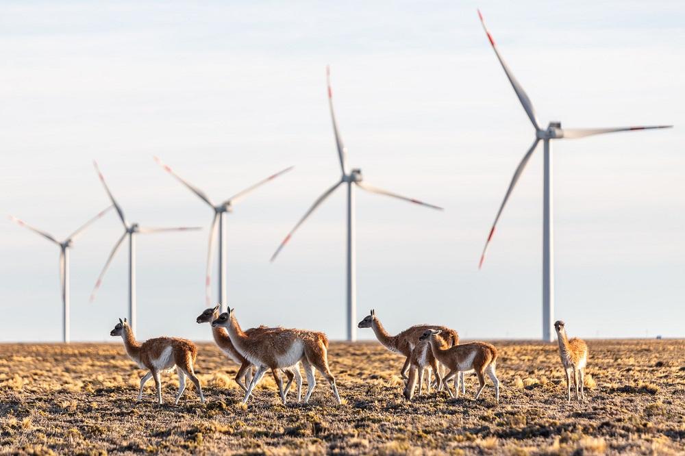 Una importante empresa de energía del país sacó su primer reporte de sustentabilidad: los ejes centrales