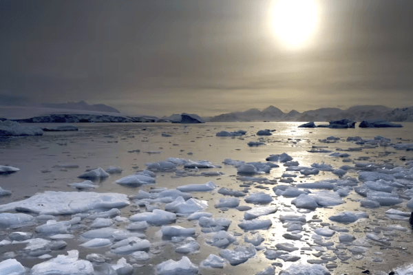 Estudio confirma que el deshielo acelerado en la Antártida es “inevitable”, pero hay un dato positivo
