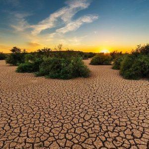 Día Internacional contra el Cambio Climático: ¿por qué se celebra cada 24 de octubre?