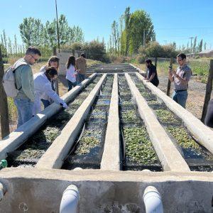 Científicos argentinos desarrollan un sistema múltiple para tratar afluentes y reducir la contaminación