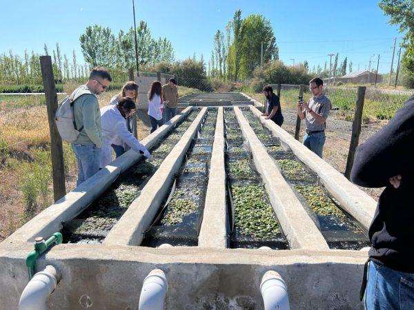 Científicos argentinos desarrollan un sistema múltiple para tratar afluentes y reducir la contaminación