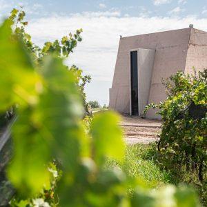 Esta bodega argentina obtuvo el oro en sustentabilidad en concurso internacional de enoturismo