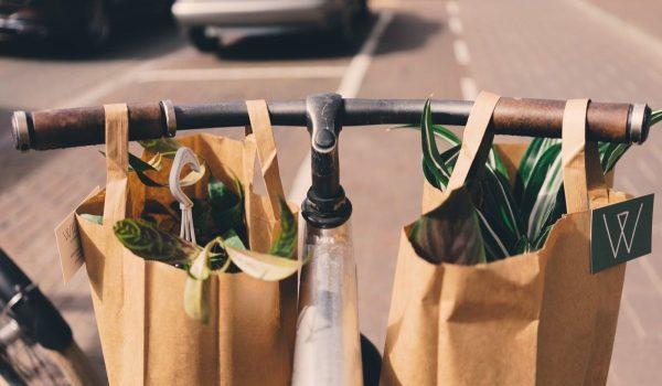 Qué alternativas sustentables existen a las bolsas plásticas de un solo uso