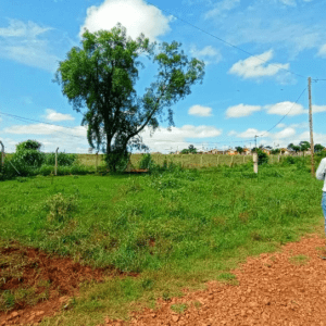 Parque Solar Fotovoltaico: avanza el proyecto para la construcción y abastecerá a cientos de usuarios