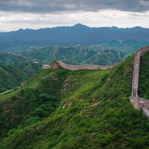 China quiere crear un «muro» de árboles: cuál es el objetivo