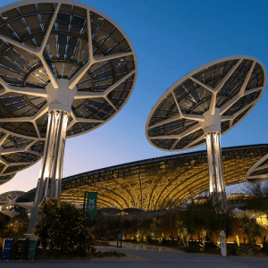 COP28: ¿Qué esperar y por qué es importante?