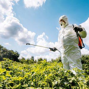Este importante país europeo relaciona el párkinson con el uso del glifosato