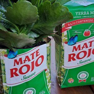 La familia Blaquier producirá envases biodegradables a partir de la caña de azúcar