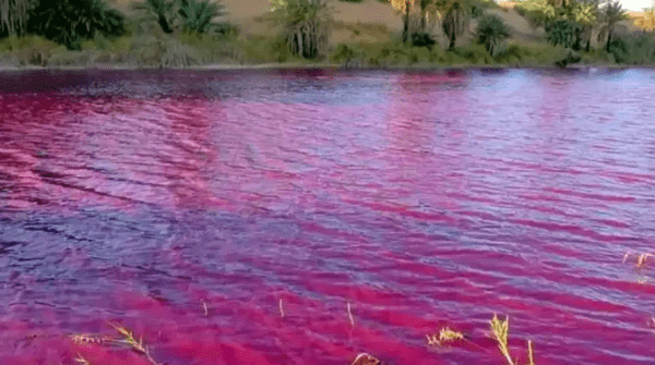 Impactantes imágenes: Por qué el río Nilo se tiñó de rojo y asombró a todo el mundo