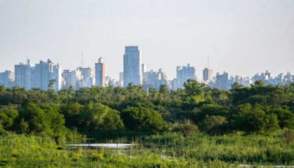 Por qué hubo un aumento de partículas contaminantes procedentes del río en Rosario