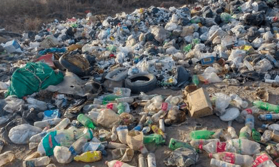 Declararon emergencia ambiental en una reconocida ciudad del país por la cantidad de basura acumulada