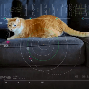 La NASA grabó a un gato en 4K y es un hito histórico, ¿por qué?