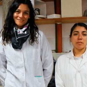 Científicas desarrollan método innovador para descontaminar agua y alimentos de glifosato