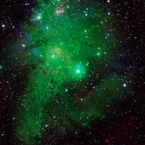 La NASA halló un árbol de Navidad en el espacio y reveló la imagen