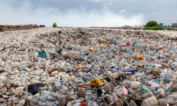Cómo se puede reducir el consumo de plástico en la vida diaria