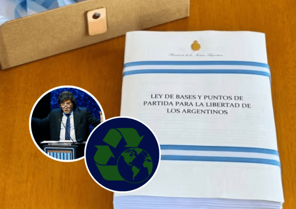 Ley “ómnibus”: qué dice el proyecto que envió Javier Milei al Congreso sobre medioambiente