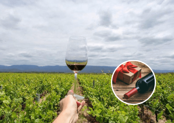 9 vinos con impronta sustentable para regalar en estas Fiestas