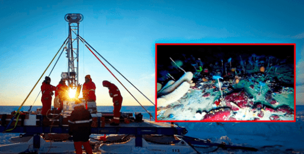 Investigadores perforaron la Antártida y hallaron animales a 200 metros de profundidad