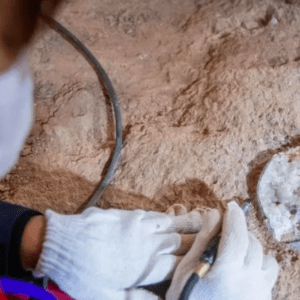 Arqueólogos hallaron vestigios de actividad humana de hace 55 mil años en China