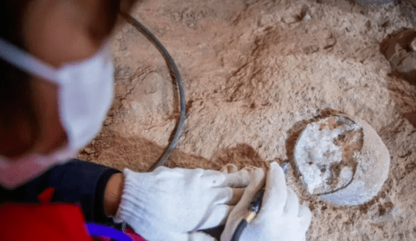 Arqueólogos hallaron vestigios de actividad humana de hace 55 mil años en China