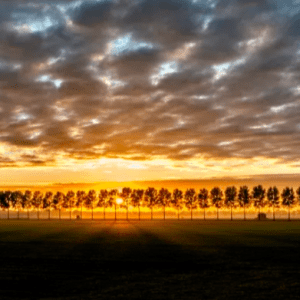 En imágenes: la NASA reveló como se ve el atardecer en diferentes planetas