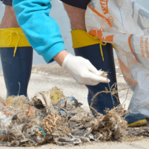 La iniciativa que propone VEA para crear conciencia sobre el manejo de los residuos en la Costa Atlántica