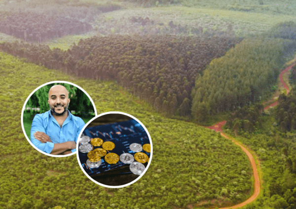 Esta startup financia la regeneración de la selva misionera: ya levantó u$s 1 millón de inversores privados
