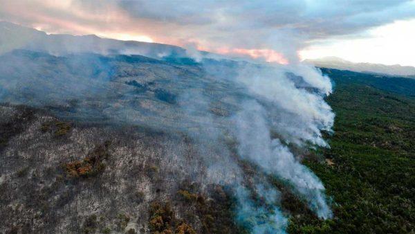 Incendio forestal en el Parque Nacional Los Alerces: ya se quemaron más de 1000 hectáreas