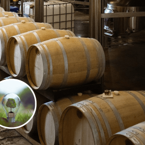 Esta es la primera bodega argentina que emite bonos verdes: cómo van a redoblar la apuesta