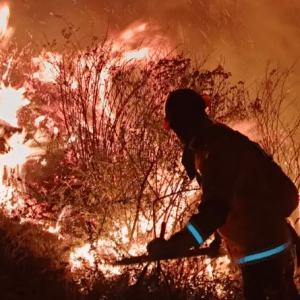 Alertan sobre el impacto de los incendios forestales en el calentamiento global
