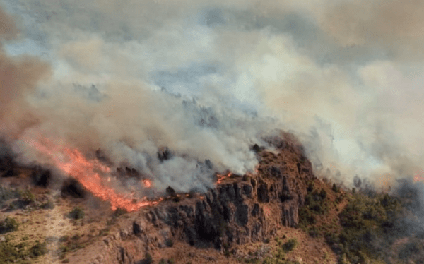 La millonaria cifra que ofrecen a quien brinde información sobre los incendios en Chubut