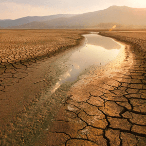 La Tierra superó los 1,5° de calentamiento durante 12 meses seguidos por primera vez