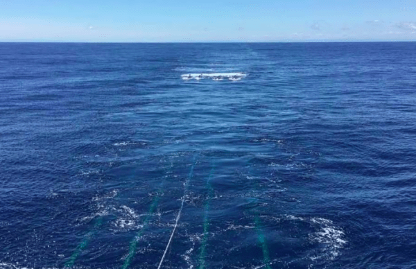 Una falla en el Océano Pacífico está partiendo a la Tierra en dos desde adentro