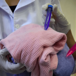 Científicos argentinos desarrollaron la primera tintura textil de origen microbiana