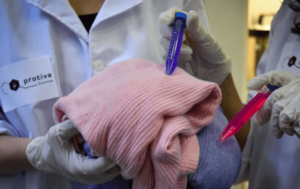 Científicos argentinos desarrollaron la primera tintura textil de origen microbiana