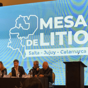 La Mesa de Litio presentó su hoja de ruta en Alemania