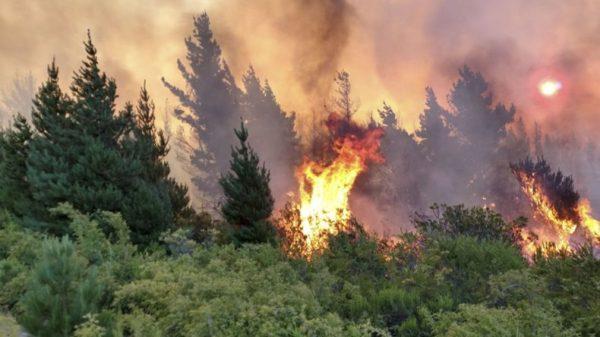 Por qué los incendios en la Patagonia serán cada vez más frecuentes