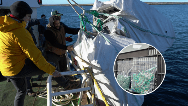 Argentina logra su primera exportación de bonos de plástico